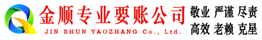 凌海金顺清债公司